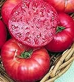 Pink Ponderosa Heirloom Tomato Seeds - Large Tomato - One of The Most Delicious Tomatoes for Home Growing, Non GMO - Neonicotinoid-Free. Photo, bestseller 2024-2023 new, best price $12.99 ($1,299.00 / Ounce) review