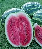 Melone - Wassermelone Crimson Sweet - 10 Samen Foto, Bestseller 2024-2023 neu, bester Preis 1,70 € (1,70 € / count) Rezension