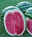 Foto Melone - Wassermelone Crimson Sweet - 10 Samen neu Bestseller 2024-2023