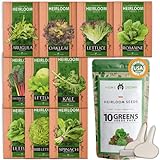 10 Heirloom Lettuce and Leafy Greens Seeds - 1500 Seeds - Non GMO Seeds for Planting - Kale, Spinach, Butter, Oak, Romaine, Iceberg, Bibb, Arugula | Hydroponic Home Vegetable Photo, bestseller 2024-2023 new, best price $15.98 ($0.01 / Count) review