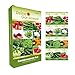 Foto Gemüsesamen Set - 12 Sorten Samen - Saatgut Sortiment - Anzuchtset für Gemüsepflanzen - Geschenkset - Tomaten, Gurken, Radieschen, Zucchini, Paprika und mehr neu Bestseller 2024-2023