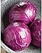 Photo David's Garden Seeds Cabbage Ruby Perfection 7742 (Red) 100 Non-GMO, Hybrid Seeds new bestseller 2024-2023