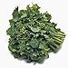 Photo Broccoli Raab Seeds, Rapini, Heirloom, Non GMO, 100 Seeds, Delicious a Culinary Delight new bestseller 2024-2023