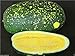 Photo Watermelon seeds - Moon & Stars-Yellow (Citrullus lanatus) Non-GMO Heirloom ! (50 Seeds) new bestseller 2024-2023