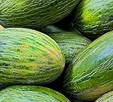 50 Valencia Late Melon Seeds | Non-GMO | Heirloom | Fresh Garden Seeds Photo, bestseller 2024-2023 new, best price $6.95 review