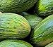 Photo 50 Valencia Late Melon Seeds | Non-GMO | Heirloom | Fresh Garden Seeds new bestseller 2024-2023