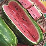 Jubilee Sweet Watermelon Seeds, 75 Heirloom Seeds Per Packet, Non GMO Seeds Photo, bestseller 2024-2023 new, best price $5.99 ($0.08 / Count) review