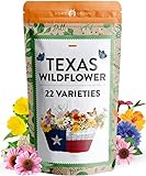 130,000+ Pure Wildflower Seeds - Premium Texas Flower Seeds [3 Oz] Perennial Garden Seeds for Birds & Butterflies - Wild Flowers Bulk Seeds Perennial: 22 Varieties Flower Seed for Planting Photo, bestseller 2024-2023 new, best price $15.95 ($0.00 / Count) review