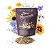 Photo Package of 80,000 Wildflower Seeds - Rocky Mountain Wildflower Mix Seeds Collection - 18 Assorted Varieties of Non-GMO Heirloom Flower Seeds for Planting Including Larkspur, Poppy, Columbine, & Daisy new bestseller 2024-2023