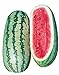 Photo Burpee Georgia Rattlesnake Watermelon Seeds 100 seeds new bestseller 2023-2022