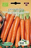 Germisem Orgánica Amsterdam Semillas de Zanahoria 4 g Foto, éxito de ventas 2024-2023 nuevo, mejor precio 3,99 € revisión