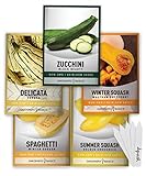 Squash Seeds for Planting 5 Individual Packets - Zucchini, Delicata, Butternut, Spaghetti and Golden Crookneck for Your Non GMO Heirloom Vegetable Garden by Gardeners Basics Photo, bestseller 2024-2023 new, best price $10.95 ($2.19 / Count) review