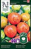 Tomatensamen Tigerella - Nelson Garden Samen für Gemüsegarten - Tomaten Saatgut (36 Stück) (Einzelpackung) Foto, Bestseller 2024-2023 neu, bester Preis 3,45 € Rezension