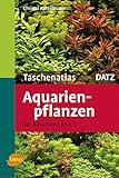 Aquarienpflanzen: Das Aquarium von A - Z (Taschenatlanten) Foto, Bestseller 2024-2023 neu, bester Preis 19,90 € Rezension