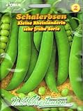 Schalerbsen 'Kleine Rheinländerin' sehr frühe Sorte, 50 cm hoch Foto, Bestseller 2024-2023 neu, bester Preis 2,63 € Rezension