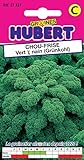 Graines de Chou Frisé 1/2 Nain - Kale - 2 grammes Photo, best-seller 2024-2023 nouveau, meilleur prix 3,55 € examen