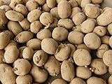 5 Lbs Yukon Gold Seed Potatoes - USA Non-GMO Certified Potato TUBERS SPUDS Photo, bestseller 2024-2023 new, best price $9.99 review
