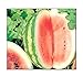 Photo 25 Crimson Sweet Watermelon Seeds | Non-GMO | Fresh Garden Seeds new bestseller 2024-2023