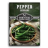 Survival Garden Seeds - Serrano Pepper Seed for Planting - Packet with Instructions to Plant and Grow Spicy Mexican Peppers in Your Home Vegetable Garden - Non-GMO Heirloom Variety Photo, bestseller 2024-2023 new, best price $4.99 review