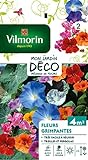 Vilmorin 5860642 Pack de Graines Fleur Grimpante Photo, best-seller 2024-2023 nouveau, meilleur prix 5,80 € examen