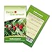 Foto Erdbeerspinat Samen - Chenopodium foliosum - Erdbeerspinatsamen - Gemüsesamen - Saatgut für 200 Pflanzen neu Bestseller 2023-2022
