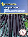 Bohne Blauhilde / Stangenbohnen Foto, Bestseller 2024-2023 neu, bester Preis 3,99 € Rezension