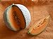 Foto Melone Charentais 5 Samen -Neue Züchtung aus Cantaloupe/Zuckermelone Sehr sehr Süß neu Bestseller 2023-2022