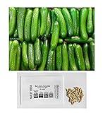 US Grown! 30+ Persian Beit Alpha (a.k.a. Lebanese) Cucumber Seeds Heirloom Non-GMO Burpless Sweet Non-Bitter and Acid Free, Crispy and Sweet, Fragrant and Delicious, Cucumis sativus, Grown in USA! Photo, bestseller 2024-2023 new, best price $2.69 review
