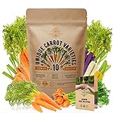 10 Carrot Seeds Variety Pack for Planting Indoor & Outdoors 3600+ Non-GMO Heirloom Carrots Garden Growing Seeds: Imperator, Parisian, Scarlet Nantes, Purple, Red, White, Cosmic Rainbow Carrots & More Photo, bestseller 2024-2023 new, best price $12.99 ($1.30 / Count) review