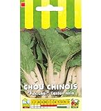 Sachet de graines de Chou de Chine Canton nain Pak Choi - 3 g - LES GRAINES BOCQUET Photo, best-seller 2024-2023 nouveau, meilleur prix 3,99 € (1 330,00 € / kg) examen
