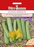 Dürr Samen 4271 Zucchini Alfresco F1 (Zucchinisamen) Foto, Bestseller 2022-2021 neu, bester Preis 4,11 € Rezension
