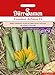 Foto Dürr Samen 4271 Zucchini Alfresco F1 (Zucchinisamen) neu Bestseller 2024-2023