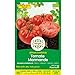 Foto Semillas ecológicas de tomate marmande raf Vergea nuevo éxito de ventas 2024-2023