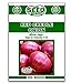Photo Red Creole Onion Seeds - 300 Seeds new bestseller 2024-2023