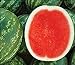 Photo David's Garden Seeds Fruit Watermelon (Seedless) Chunky (Red) 25 Non-GMO, Hybrid Seeds new bestseller 2024-2023