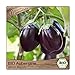 Foto BIO Aubergine Samen Sorte Black Beauty (Solanum melongena) Gemüsesamen Eierfrucht Saatgut neu Bestseller 2024-2023