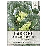 Seed Needs, Early Jersey Wakefield Cabbage (Brassica oleracea) Single Package of 300 Seeds Non-GMO Photo, bestseller 2024-2023 new, best price $5.85 review