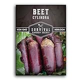Survival Garden Seeds - Cylindra Beet Seed for Planting - Packet with Instructions to Plant and Grow Dark Red Beets in Your Home Vegetable Garden - Non-GMO Heirloom Variety Photo, bestseller 2024-2023 new, best price $4.99 review