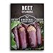 Photo Survival Garden Seeds - Cylindra Beet Seed for Planting - Packet with Instructions to Plant and Grow Dark Red Beets in Your Home Vegetable Garden - Non-GMO Heirloom Variety new bestseller 2023-2022
