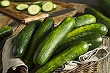 Sweeter Yet Hybrid Cucumber Seeds - Non-GMO - 10 Seeds Photo, bestseller 2024-2023 new, best price $5.99 ($0.60 / Count) review