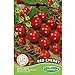 Foto Germisem Red Cherry Semillas de Tomate 1 g (EC8004) nuevo éxito de ventas 2024-2023