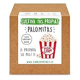 Garden Pocket - Kit Cultivo Palomitas de Maíz Foto, éxito de ventas 2024-2023 nuevo, mejor precio 13,93 € revisión