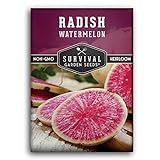 Survival Garden Seeds - Watermelon Radish Seed for Planting - Packet with Instructions to Plant and Grow Unique Asian Vegetables in Your Home Vegetable Garden - Non-GMO Heirloom Variety Photo, bestseller 2024-2023 new, best price $4.99 review