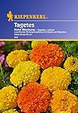 Sperli Blumensamen Tagetes hohe Mischung, grün Foto, Bestseller 2024-2023 neu, bester Preis 1,86 € Rezension