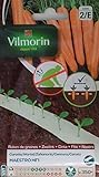 Vilmorin 2 Cintas 350 Semillas de Zanahoria Maestro HF1 (Cultivo fácil) Foto, éxito de ventas 2024-2023 nuevo, mejor precio 2,90 € revisión