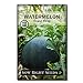 Photo Sow Right Seeds - Sugar Baby Watermelon Seed for Planting - Non-GMO Heirloom Packet with Instructions to Plant a Home Vegetable Garden - Great Gardening Gift (1) new bestseller 2024-2023