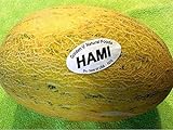 35 PCS Hami Ha Mi Melon Seeds E60, Honey Melon Super Sweet Photo, bestseller 2024-2023 new, best price $14.50 review