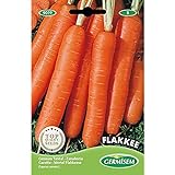 Germisem Flakkee Semillas de Zanahoria 10 g Foto, éxito de ventas 2024-2023 nuevo, mejor precio 2,21 € revisión