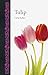 Photo Tulip (Botanical) new bestseller 2024-2023