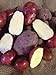 Photo Seed Potato, Red Lasoda, (5 Lbs.), Certified Minnesota Grown Red Lasoda new bestseller 2024-2023